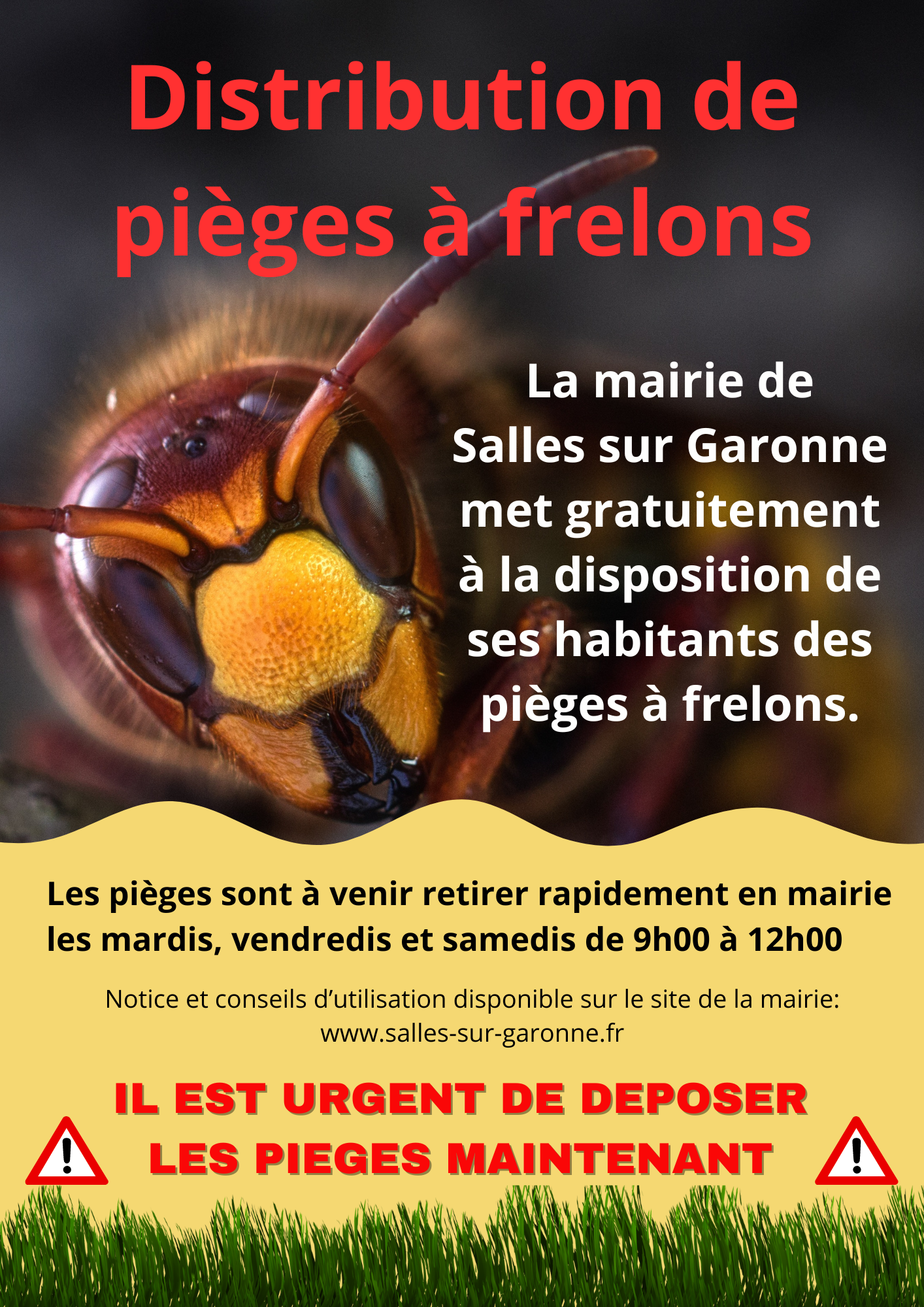 AFFICHE FRELONS 0