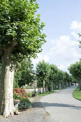 allee-place-village