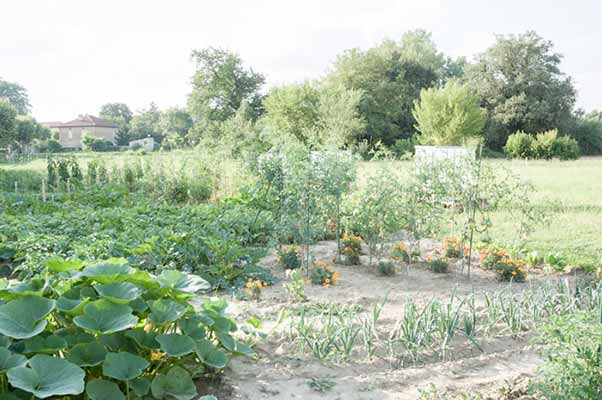 jardins-partages